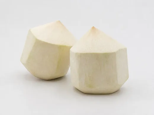 Coconut export product sample