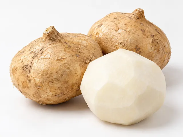 Jicama export product sample